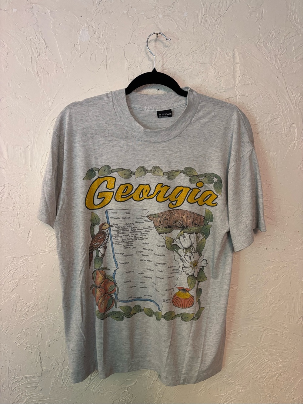 Vintage State of Georgia Graphic Tee
